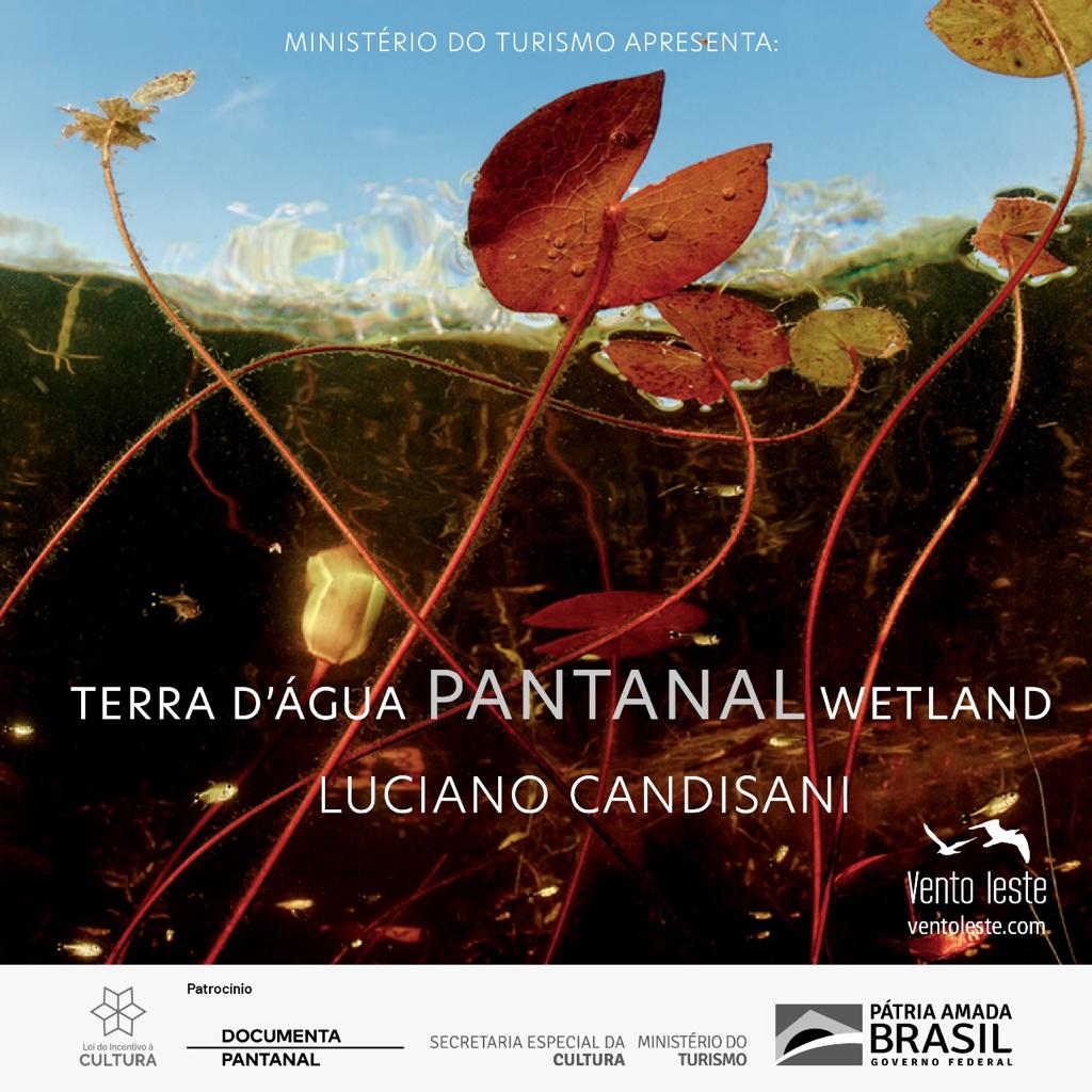 Livro documentário sobre a vida aquática do Pantanal é lançado em MS